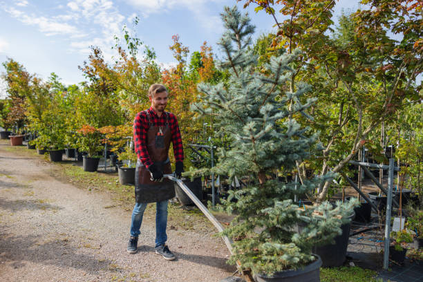 Best Fruit Tree Pruning  in Deforest, WI